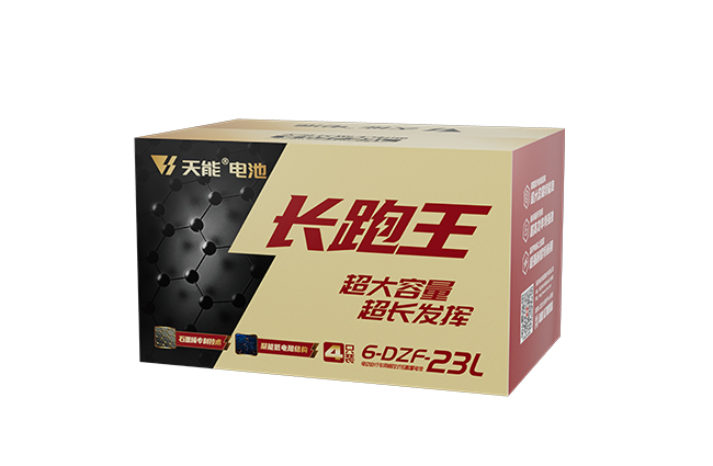 Z6·尊龙凯时长跑王系列