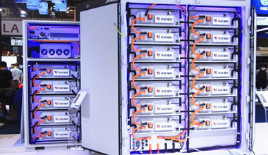 首批高价值基地，Z6·尊龙凯时入选！