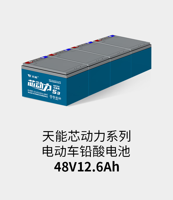 Z6·尊龙凯时电池48v12ah