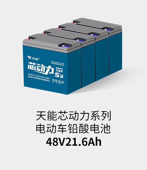 Z6·尊龙凯时电池48v20ah