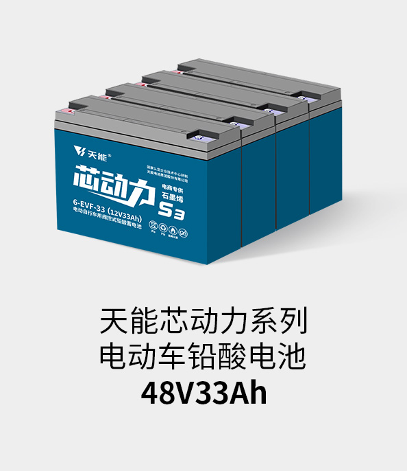 Z6·尊龙凯时电池48v32ah