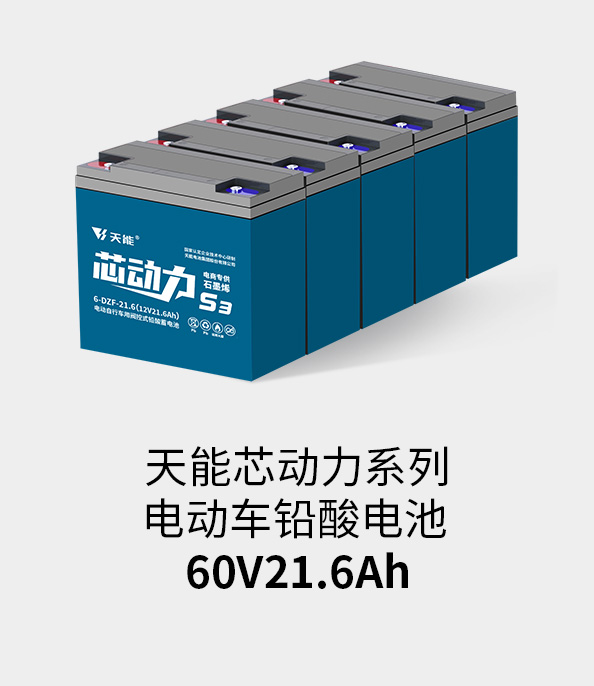 Z6·尊龙凯时电池60v20ah
