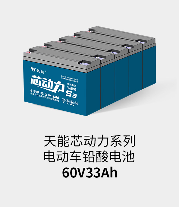 Z6·尊龙凯时电池60v33ah