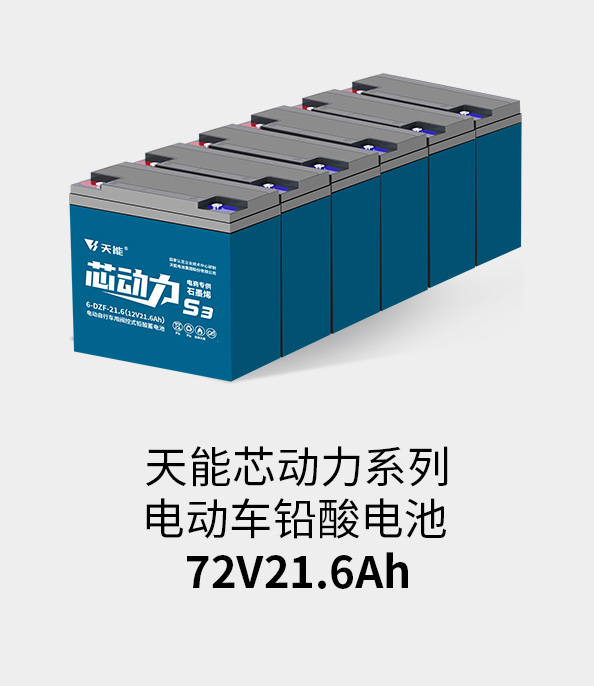 Z6·尊龙凯时电池72v20ah