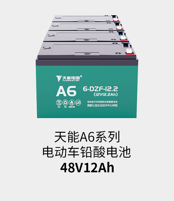Z6·尊龙凯时电池48v12ah