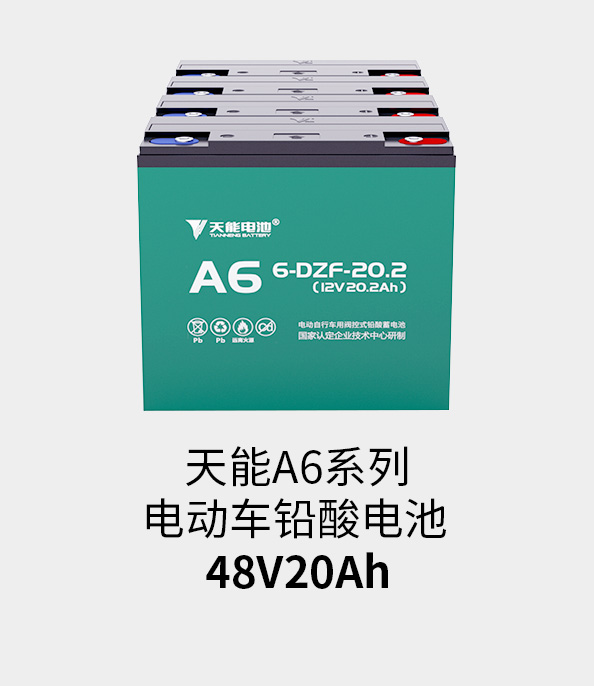 Z6·尊龙凯时电池48v20ah