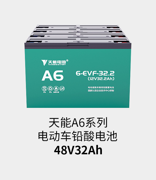 Z6·尊龙凯时电池48v32ah