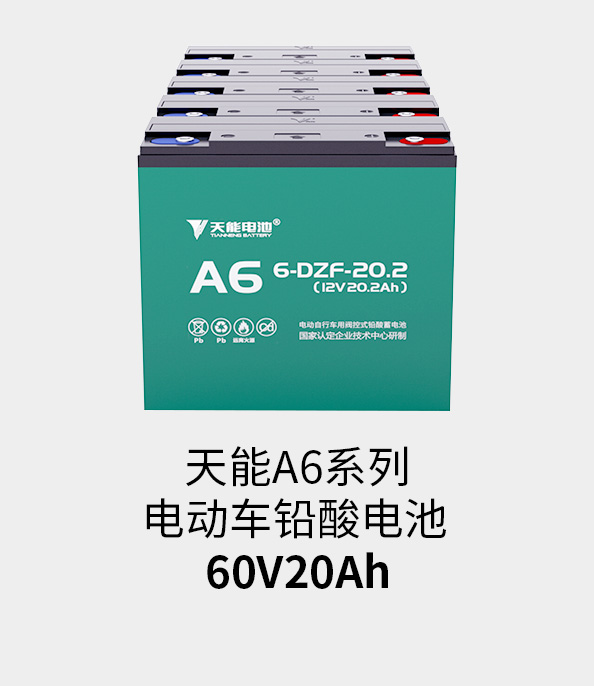 Z6·尊龙凯时电池60v20ah