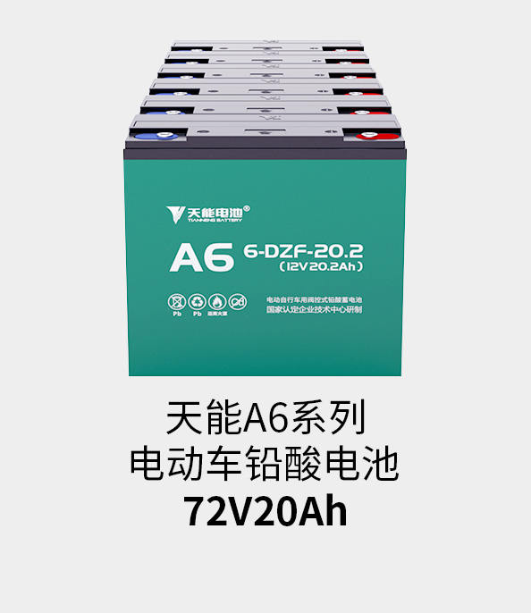 Z6·尊龙凯时电池72v20ah