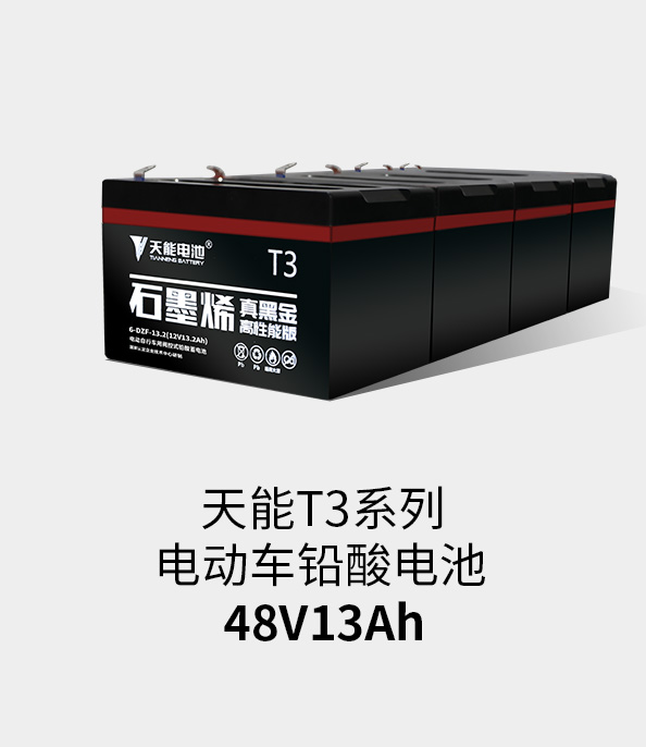 Z6·尊龙凯时T3系列48v13ah