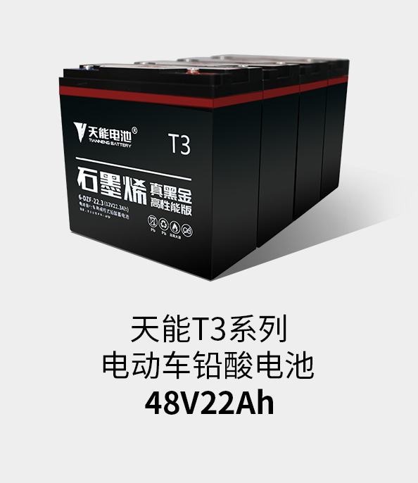 Z6·尊龙凯时T3系列48v22ah