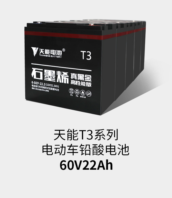 Z6·尊龙凯时T3系列60v22ah