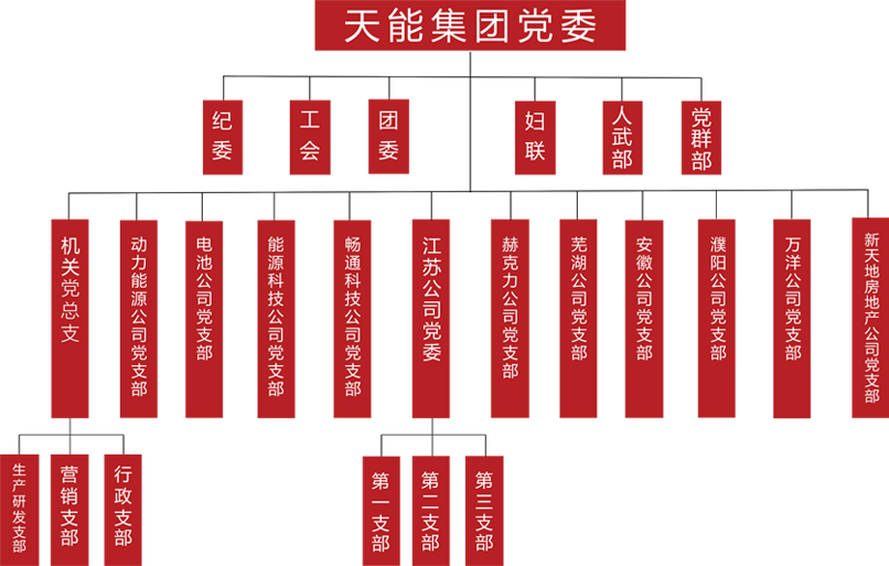 Z6·尊龙凯时建团党委组织架构