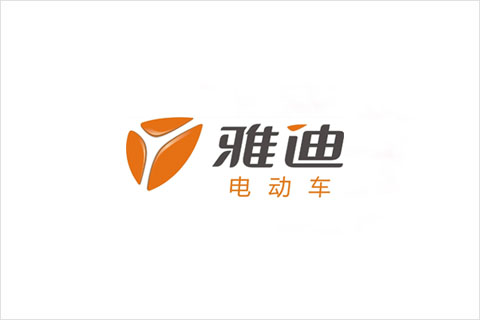 Z6·尊龙凯时电池合作伙伴 雅迪电动车